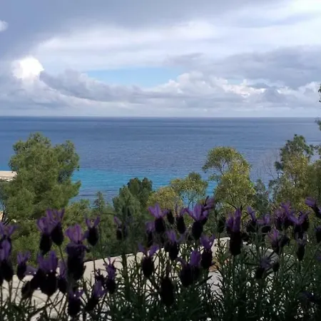 Fortunato Παλέρμο